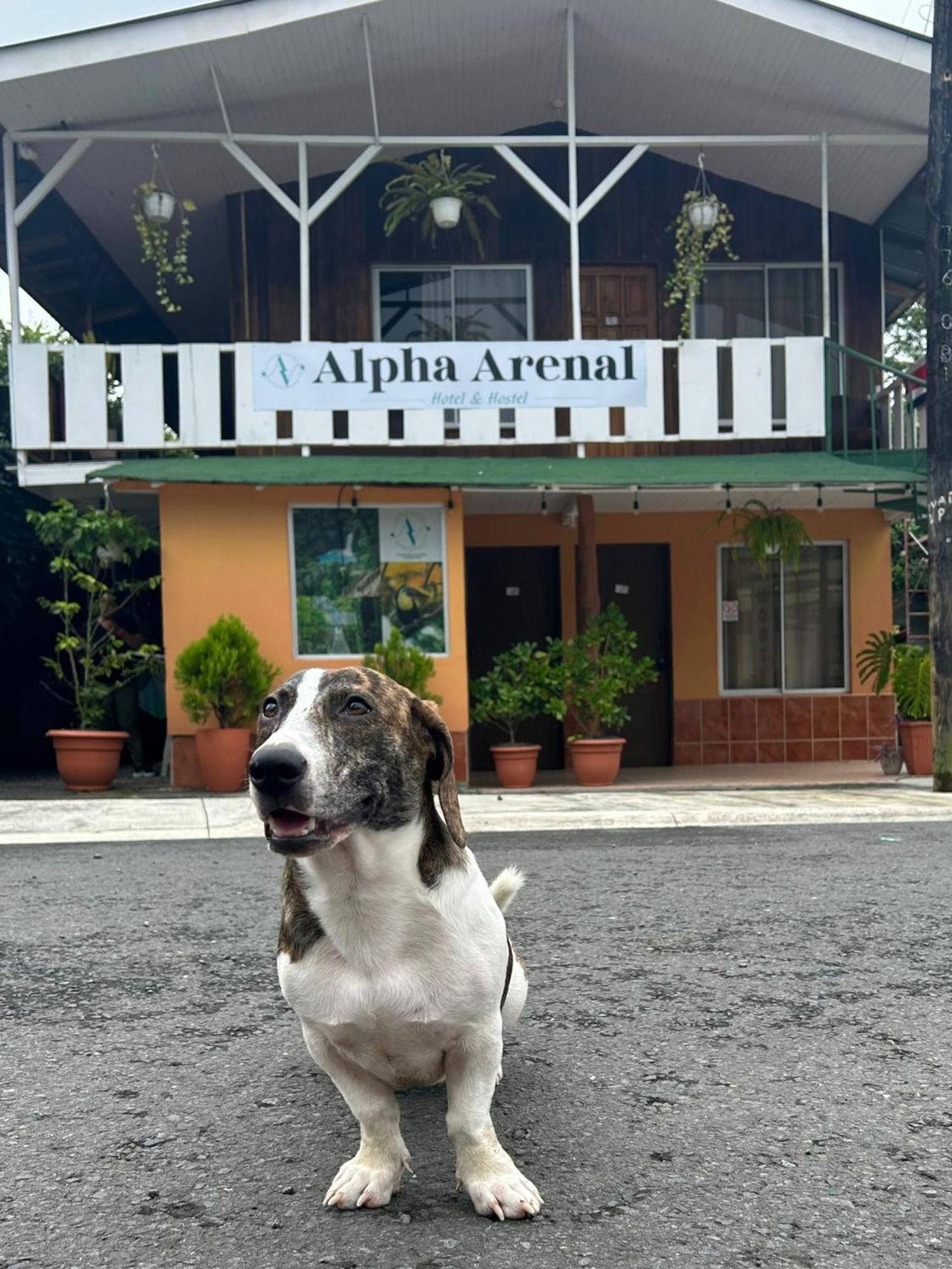 Hostel Alpha Arenal La Fortuna Exteriér fotografie