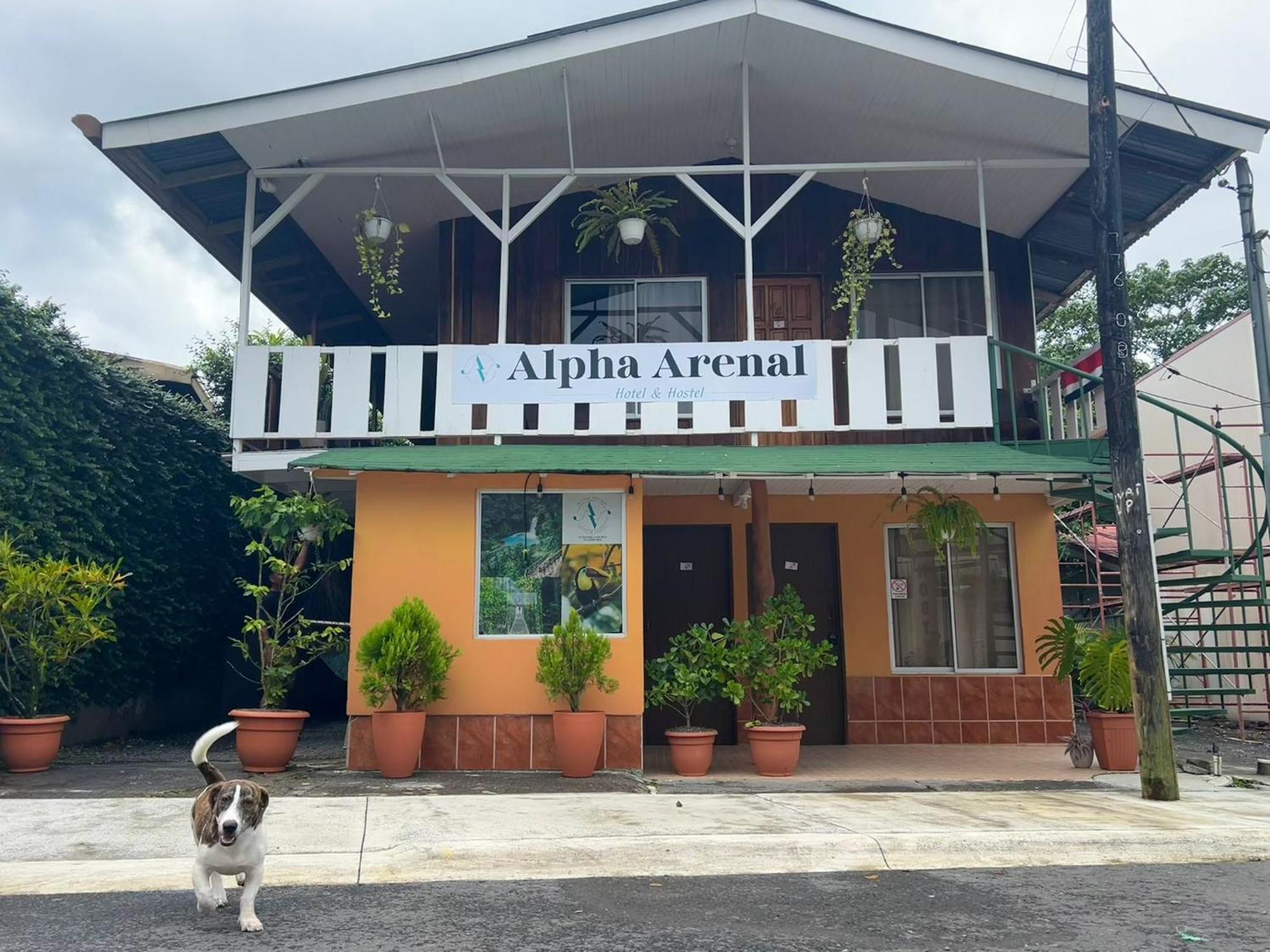 Hostel Alpha Arenal La Fortuna Exteriér fotografie